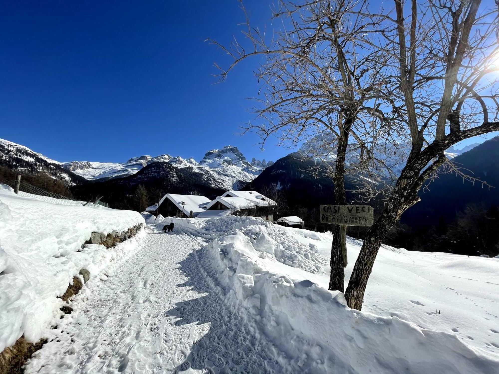 Alpina Campiglio *