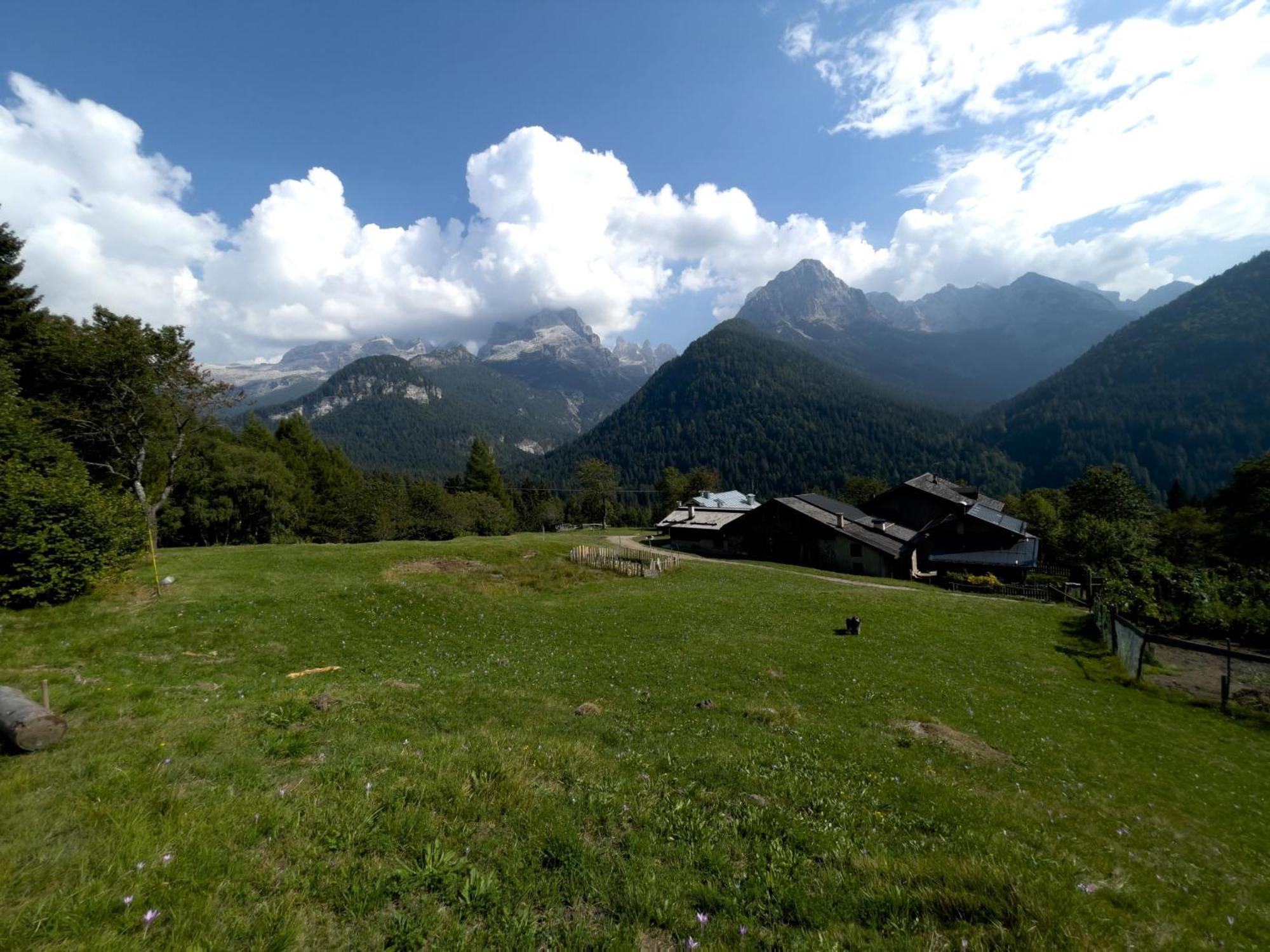 Apartment Alpina Campiglio