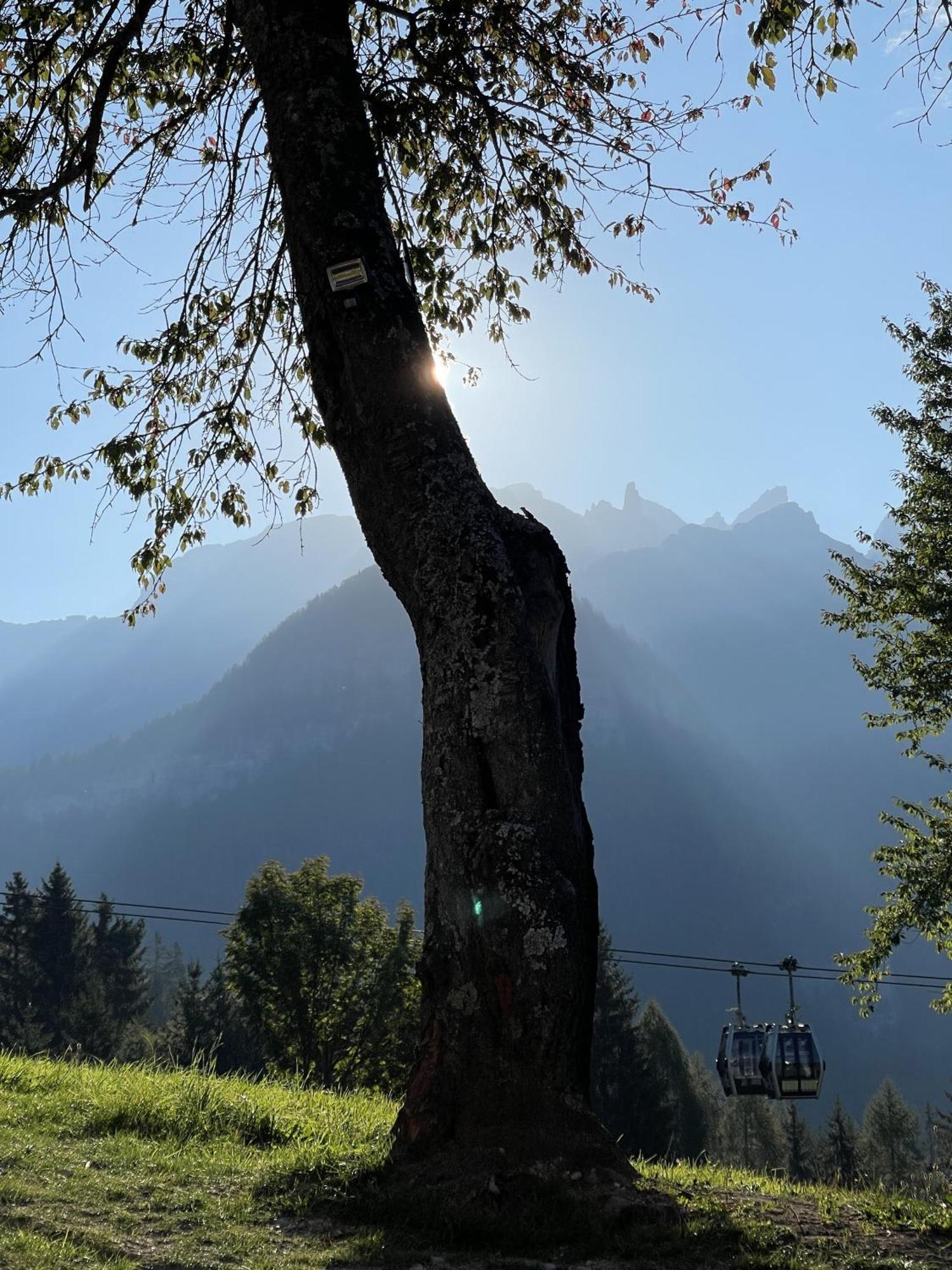 Alpina Campiglio * Madonna