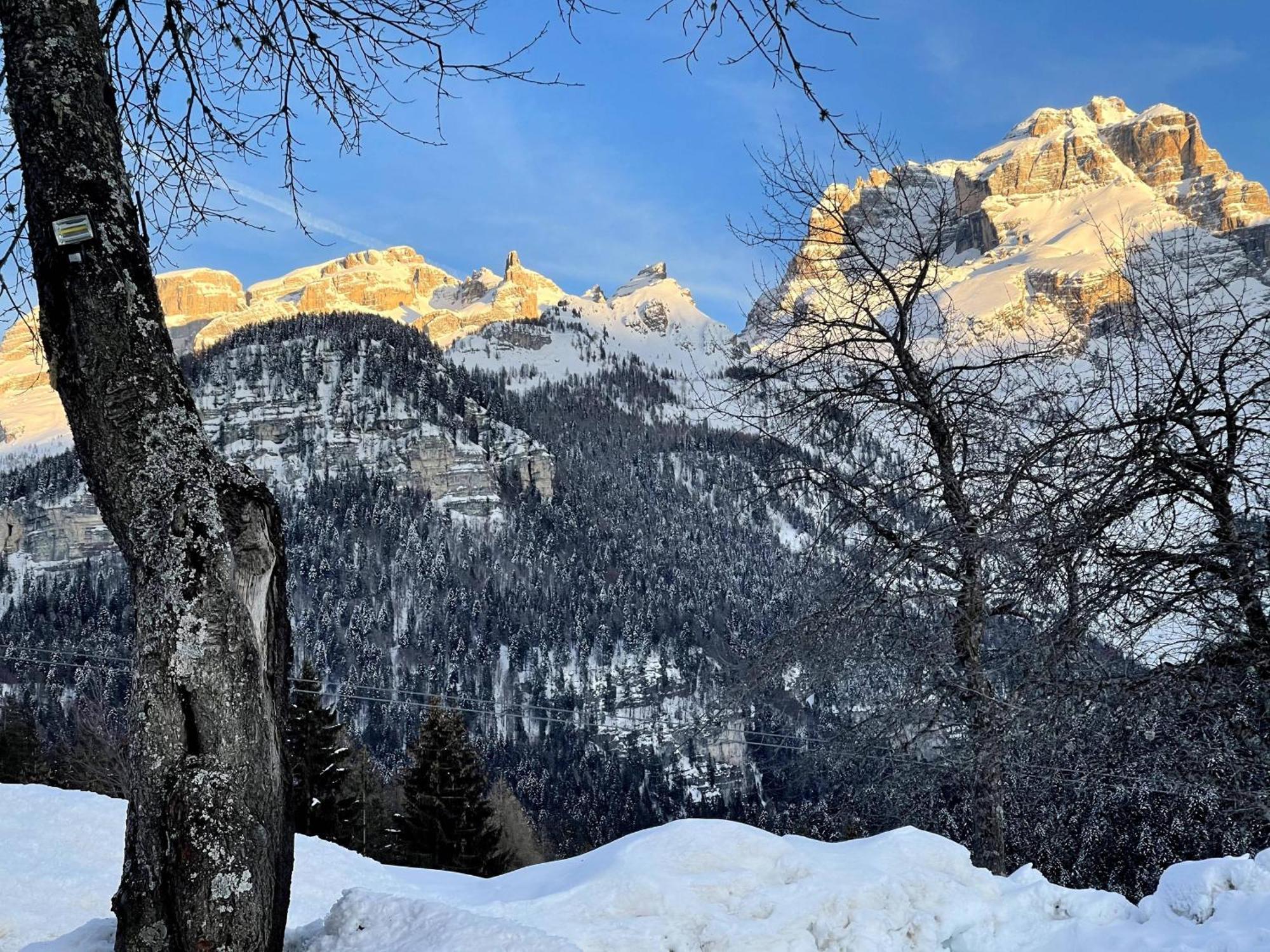Alpina Campiglio Apartment *