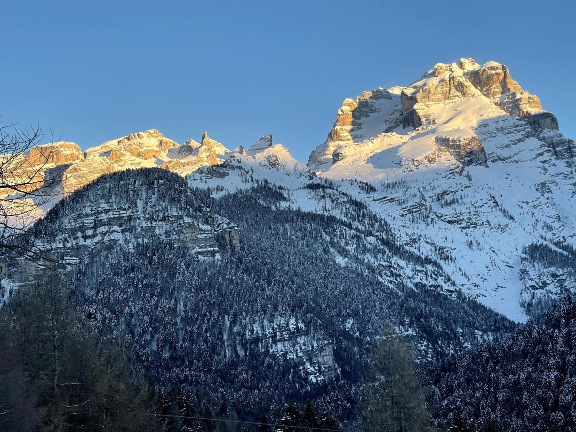 Alpina Campiglio Appartement Madonna