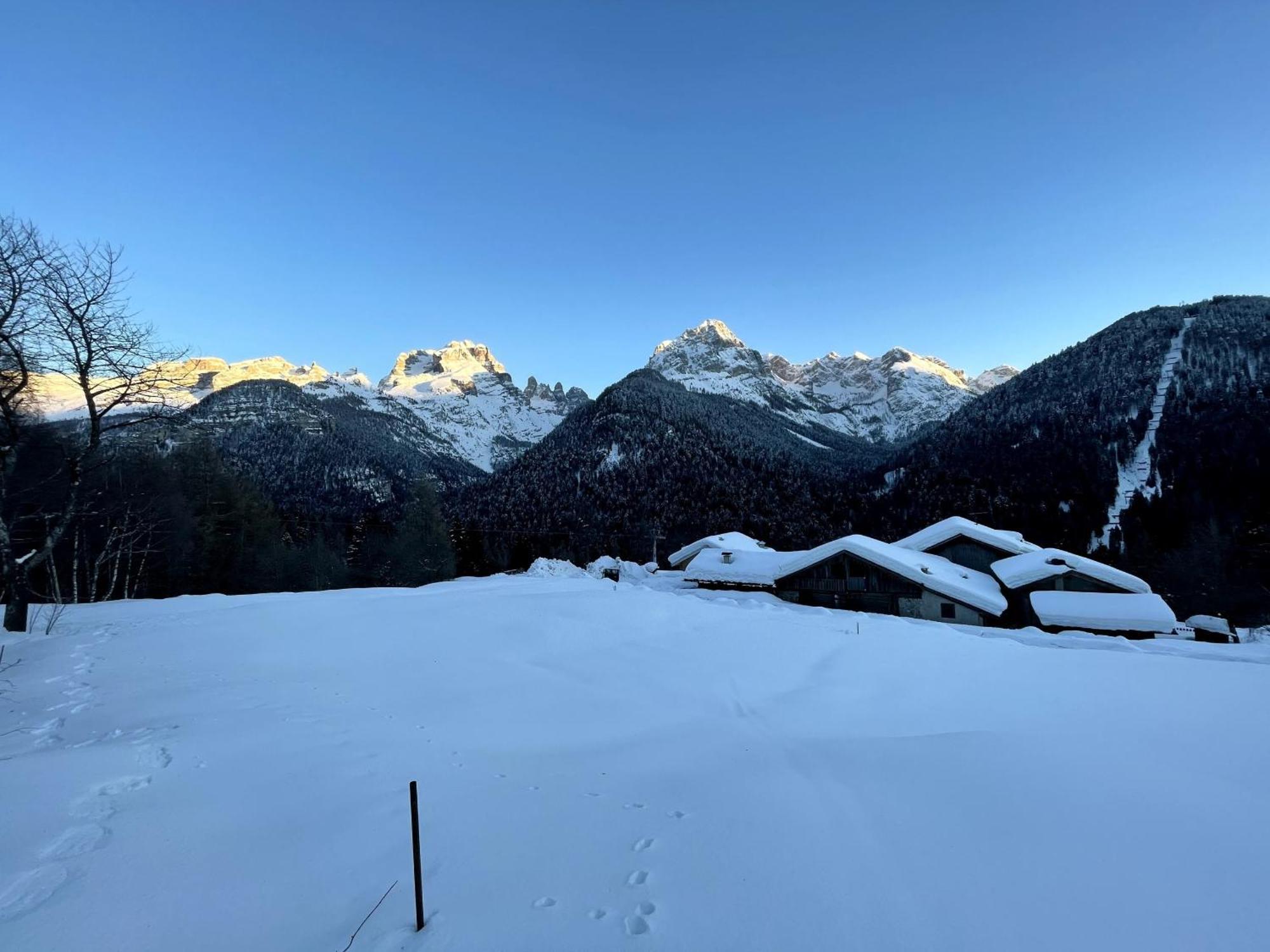Alpina Campiglio Appartement