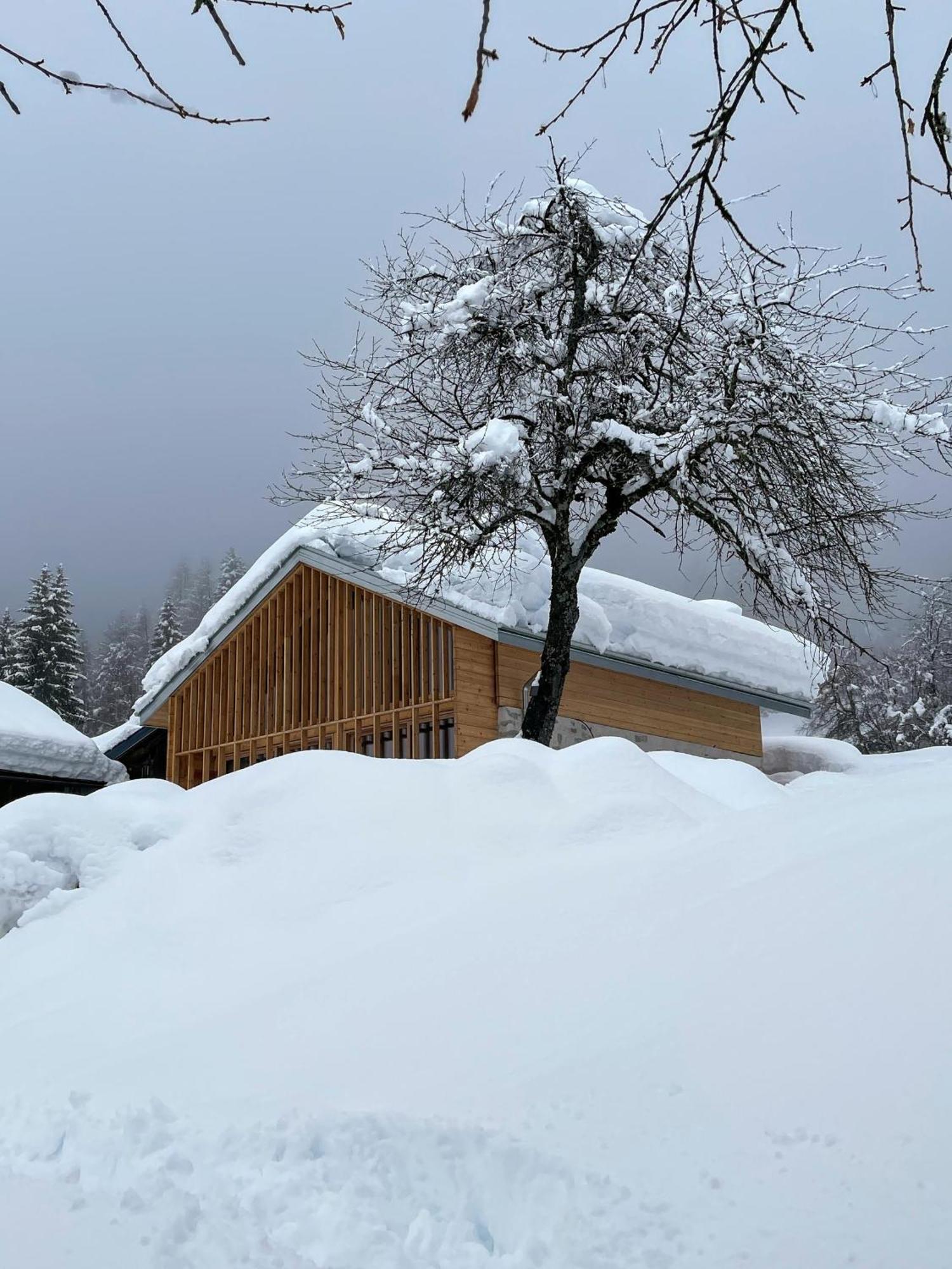 Alpina Campiglio Appartement *